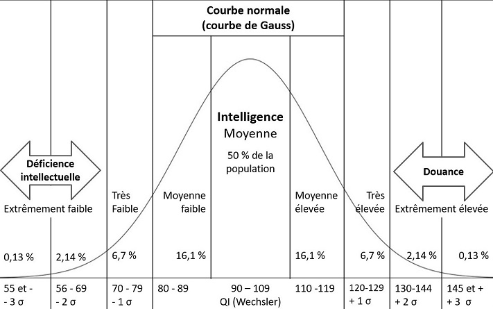 quel est mon qi